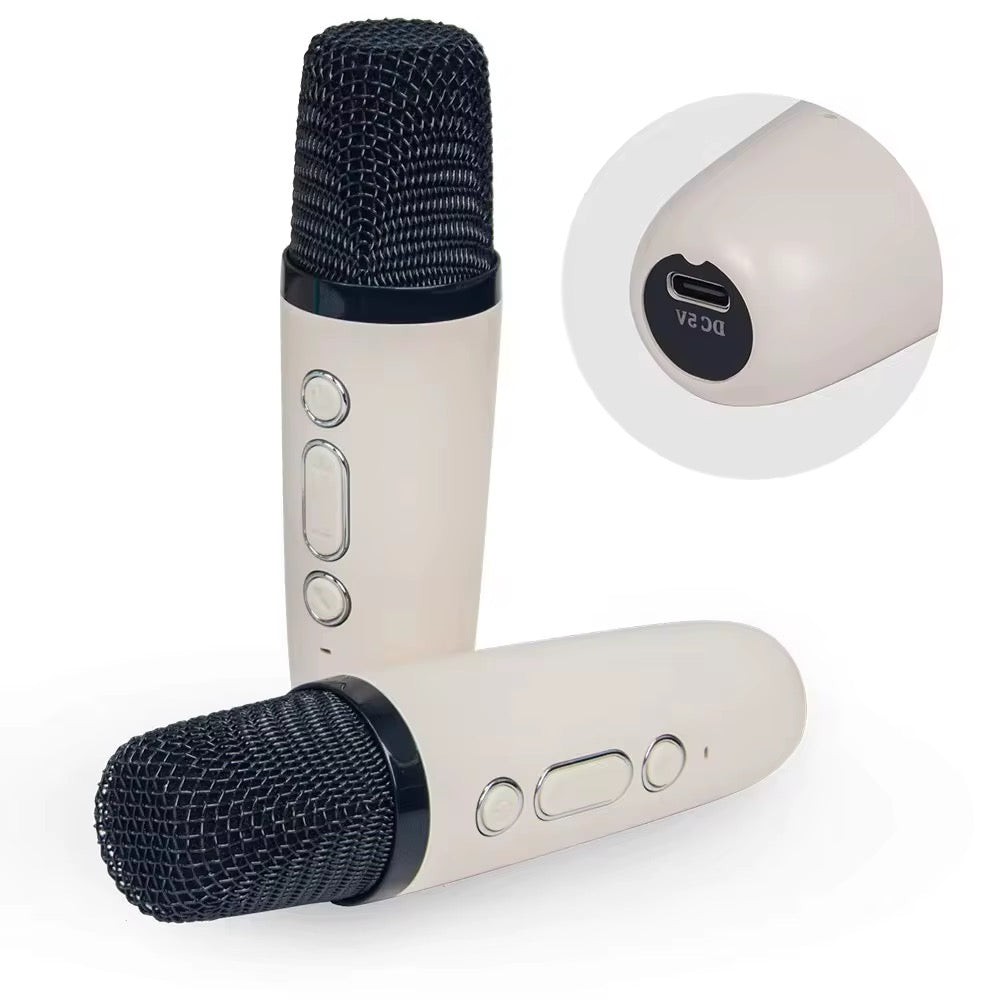 DuetJoy!™ Original Wireless Duel Karaoke Set